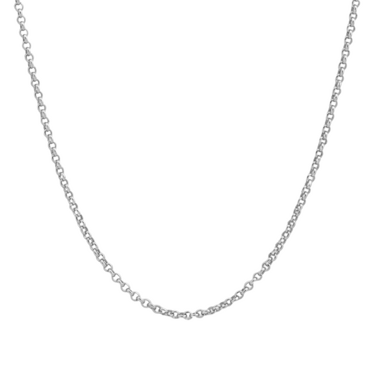 20" Platinum Rolo Chain